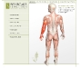 Custom Web Fronts: Medical