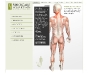 Custom Web Fronts: Medical
