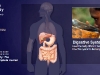 National Geographic Human Body