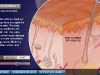 National Geographic Human Body