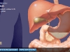 National Geographic Human Body