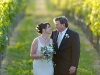 vineyard2